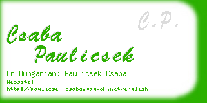 csaba paulicsek business card